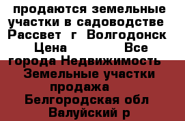 продаются земельные участки в садоводстве “Рассвет“ г. Волгодонск › Цена ­ 80 000 - Все города Недвижимость » Земельные участки продажа   . Белгородская обл.,Валуйский р-н
